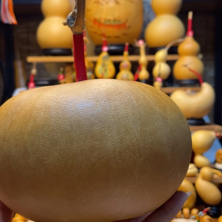 风***浅天然葫芦自然生长