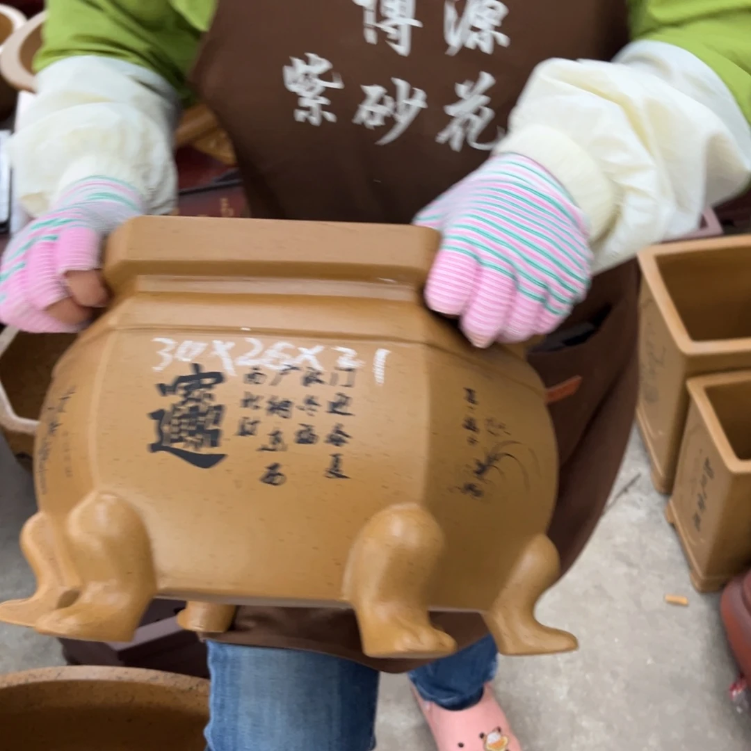 花盆紫砂盆景艺术