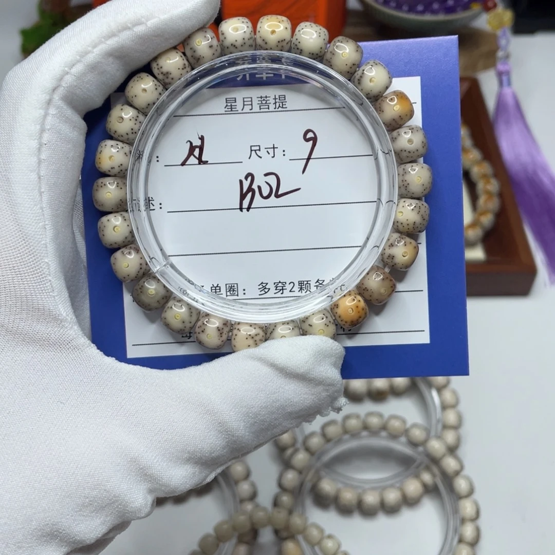 手串星月菩提9大眼睛B02