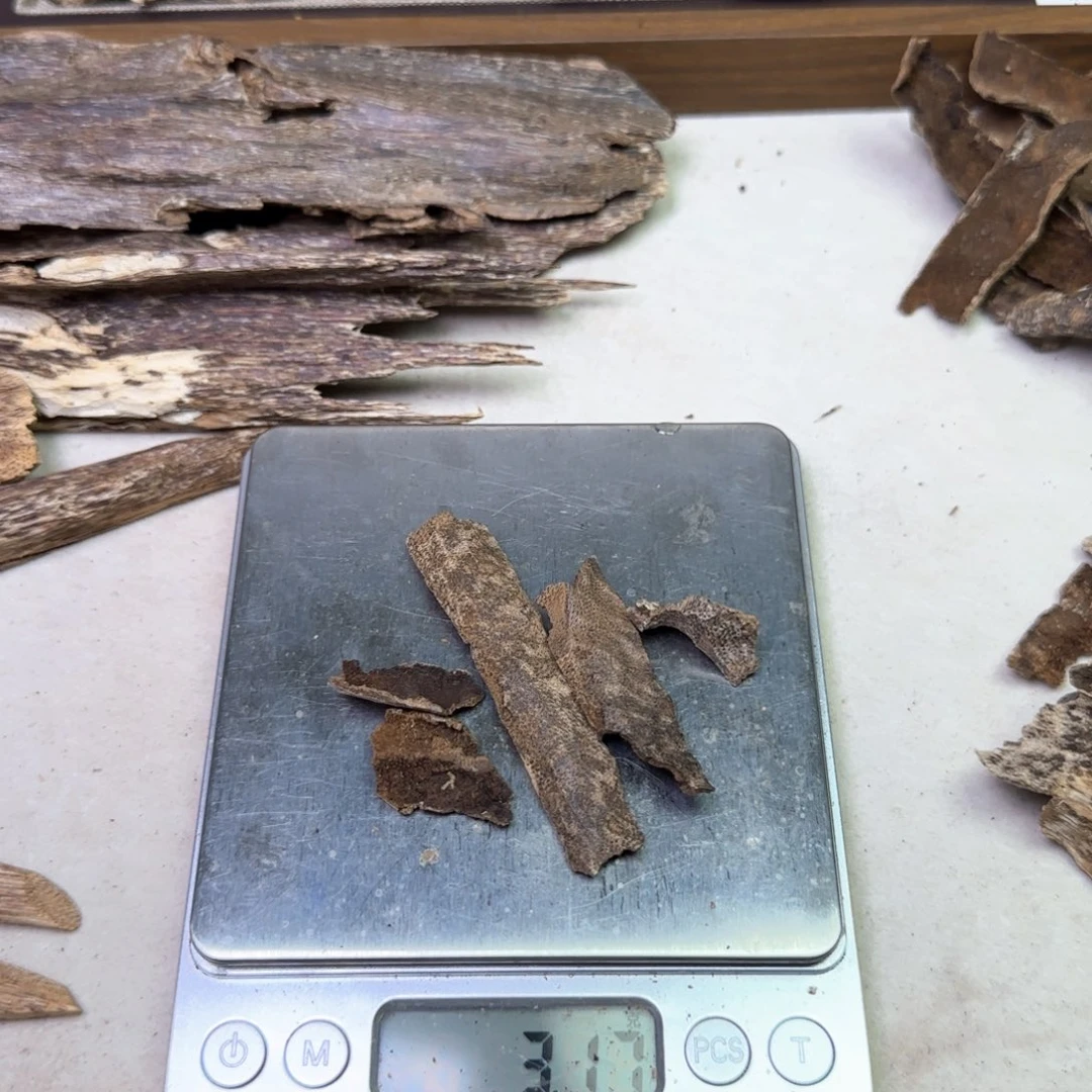 海南鸡母虫漏3.17克