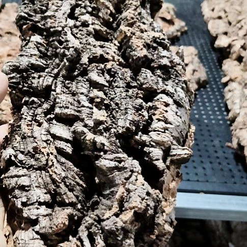 安***化顺顺利利顺顺利利