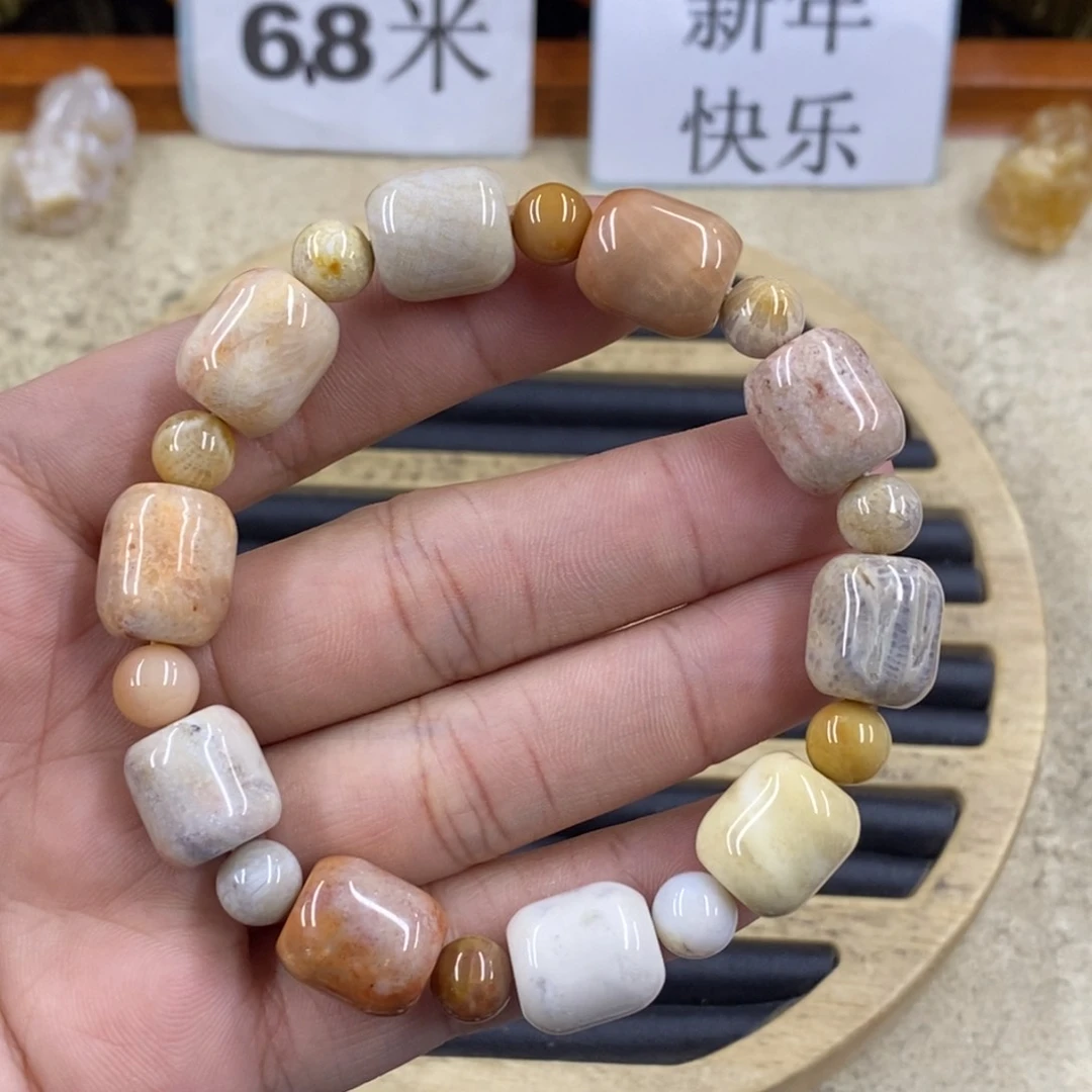 硅化珊瑚（珊瑚玉）A427未镶嵌