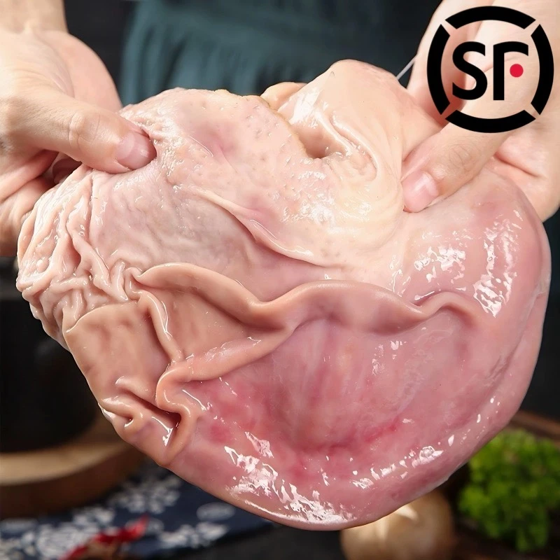 【大厚猪肚】猪猪侠的肉铺新鲜猪肚去油洗净新鲜潮汕猪肚鸡煲汤排骨