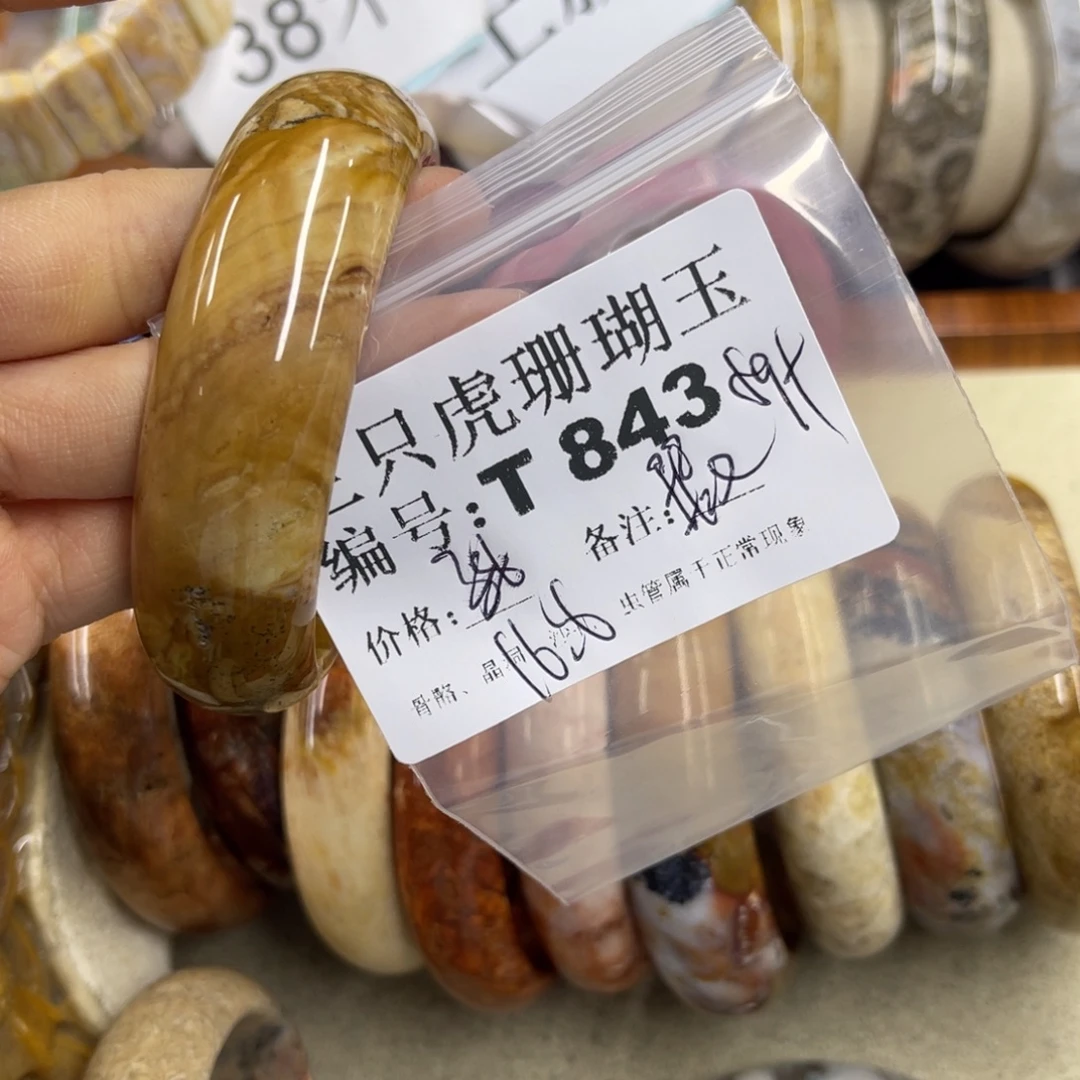 仙***草硅化珊瑚（珊瑚玉）未镶嵌h