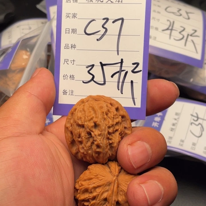核桃白狮子35➕尺寸