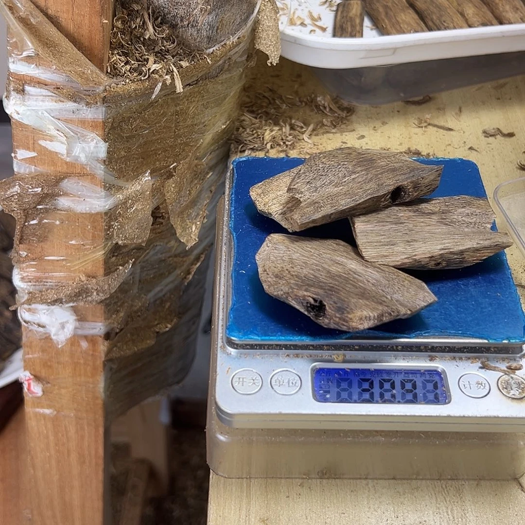 香料绿奇楠虫漏30克乌身