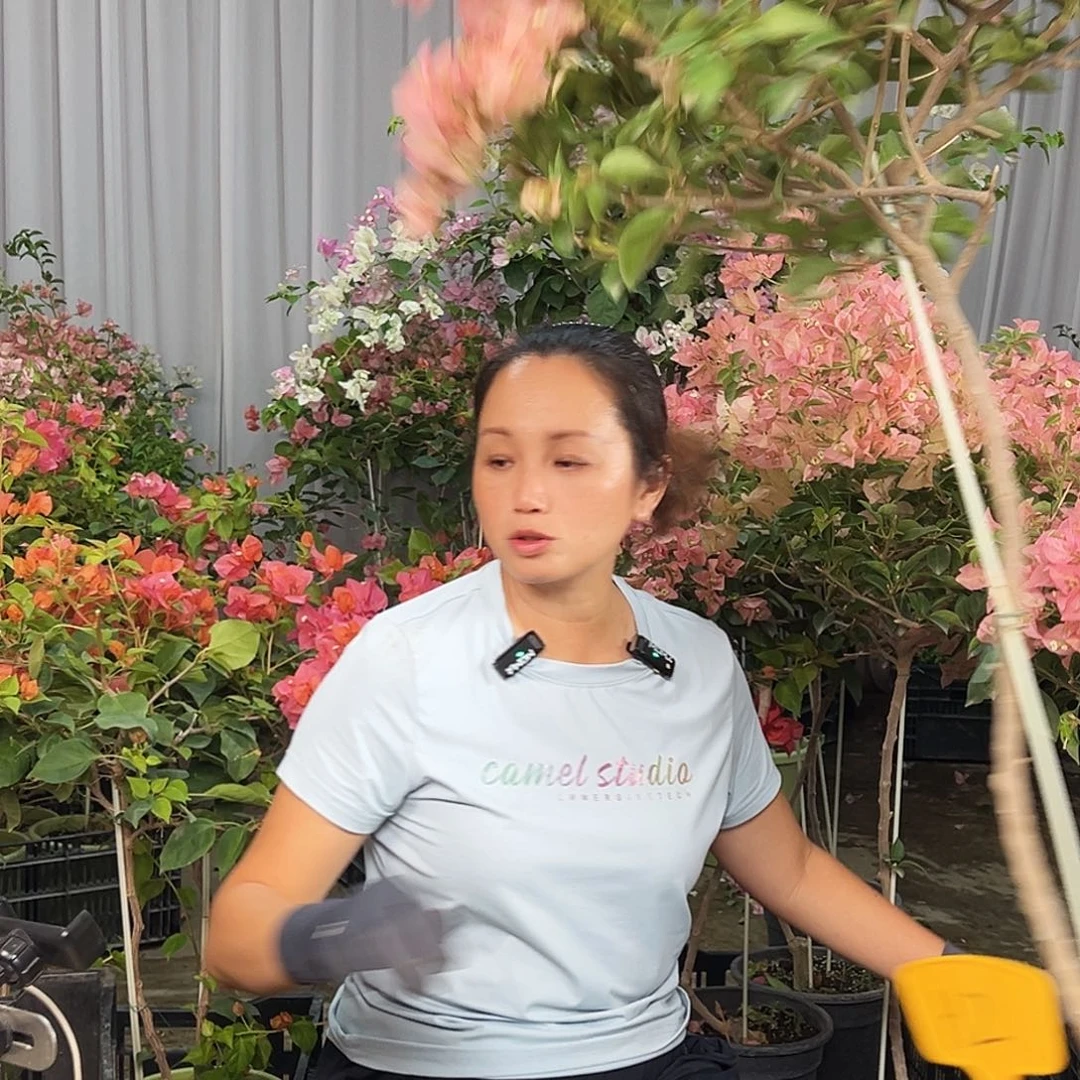 维****完全开放H2卡亚塔