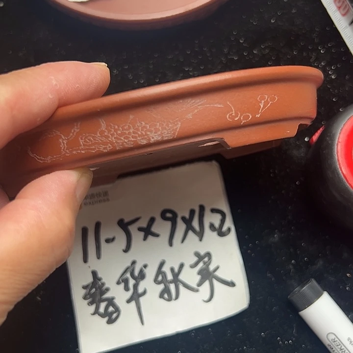 wwwww鹅鹅鹅鹅鹅鹅