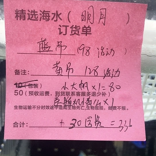海水鱼黄吊128+蓝吊98+小大帆80+送青魔1