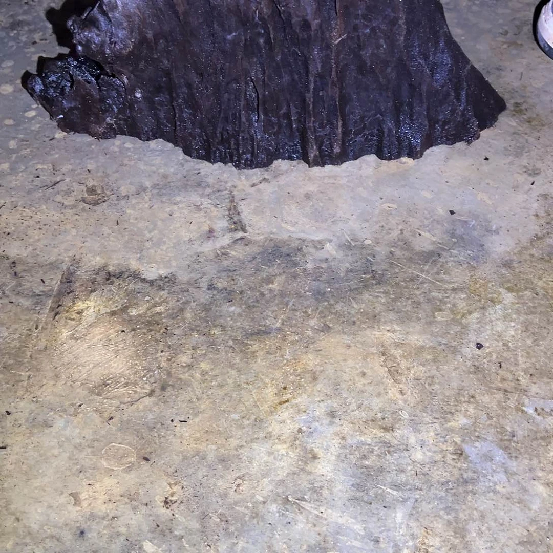 未**白金丝楠阴沉木的一个小山村