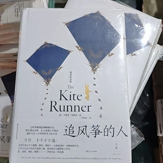 追风筝的人闪购闪购闪购