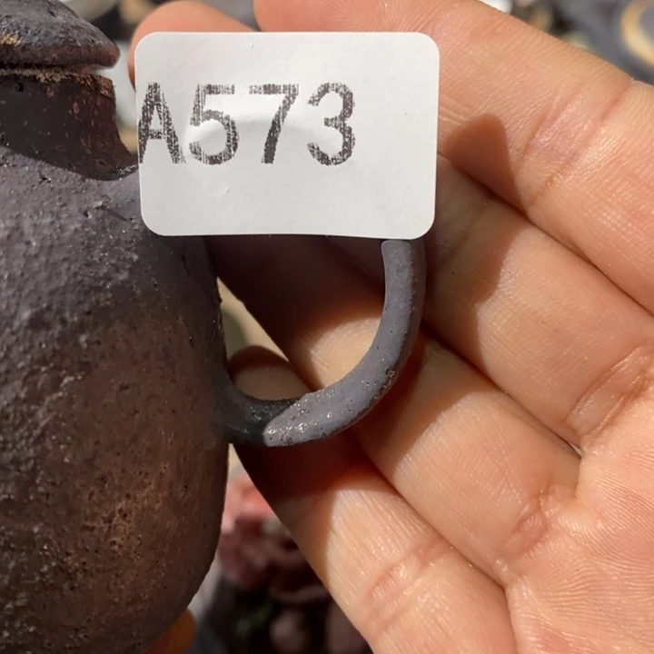 黑***水柴烧裸烧纯手工制作