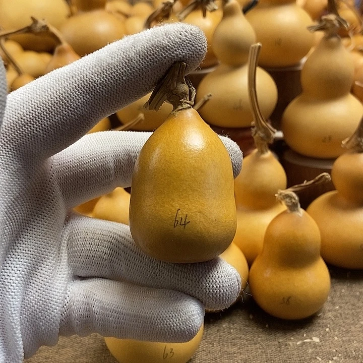 文玩葫芦 完美主义者 慎拍64