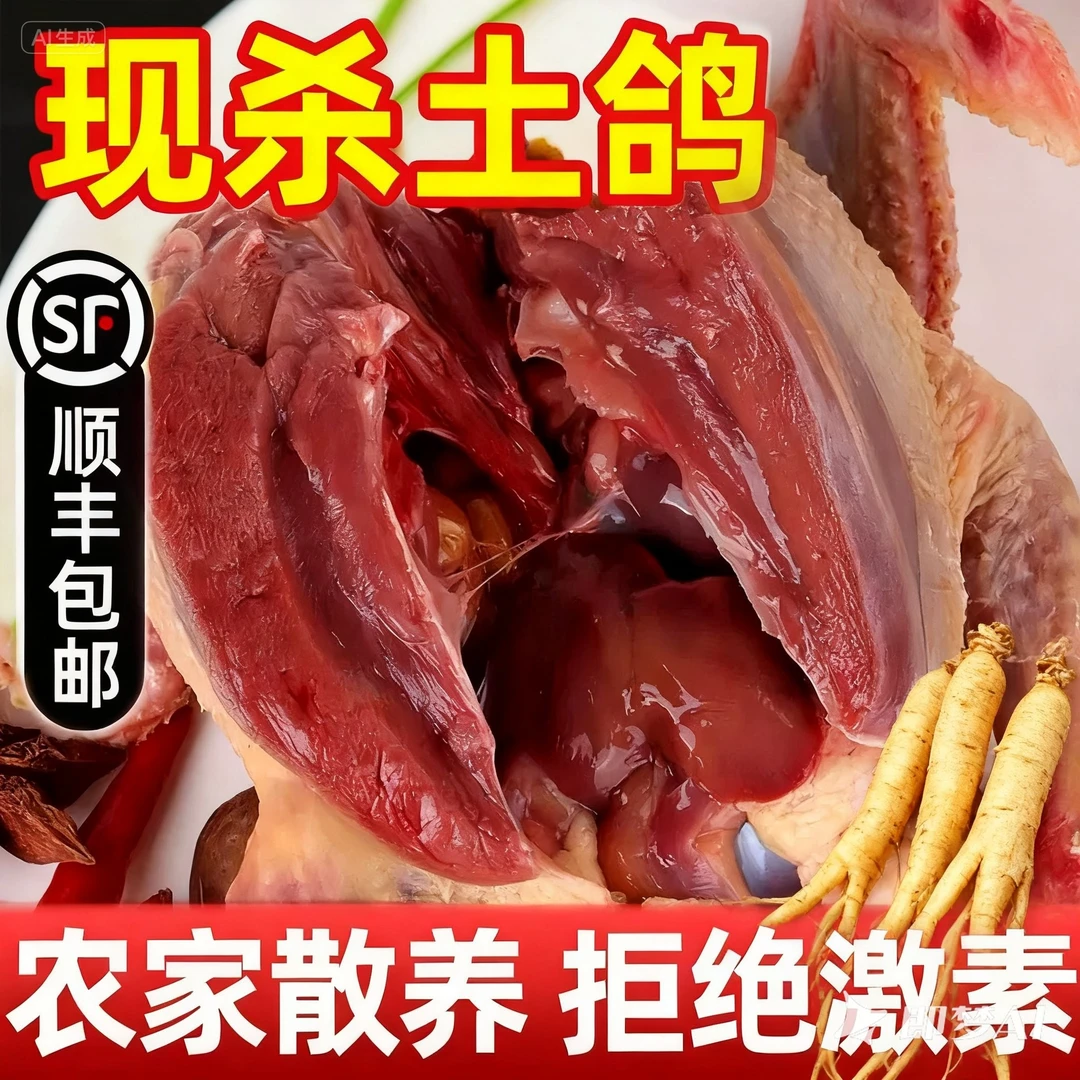新鲜现杀农家散养鸽子肉煲汤乳鸽生鲜顺丰包邮