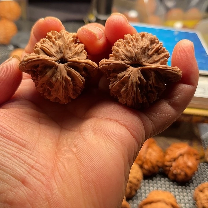 把件桃核全品虎头边42