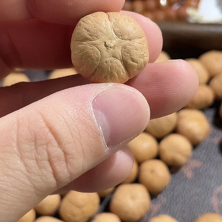 吊坠凤眼菩提尼泊尔小凤眼