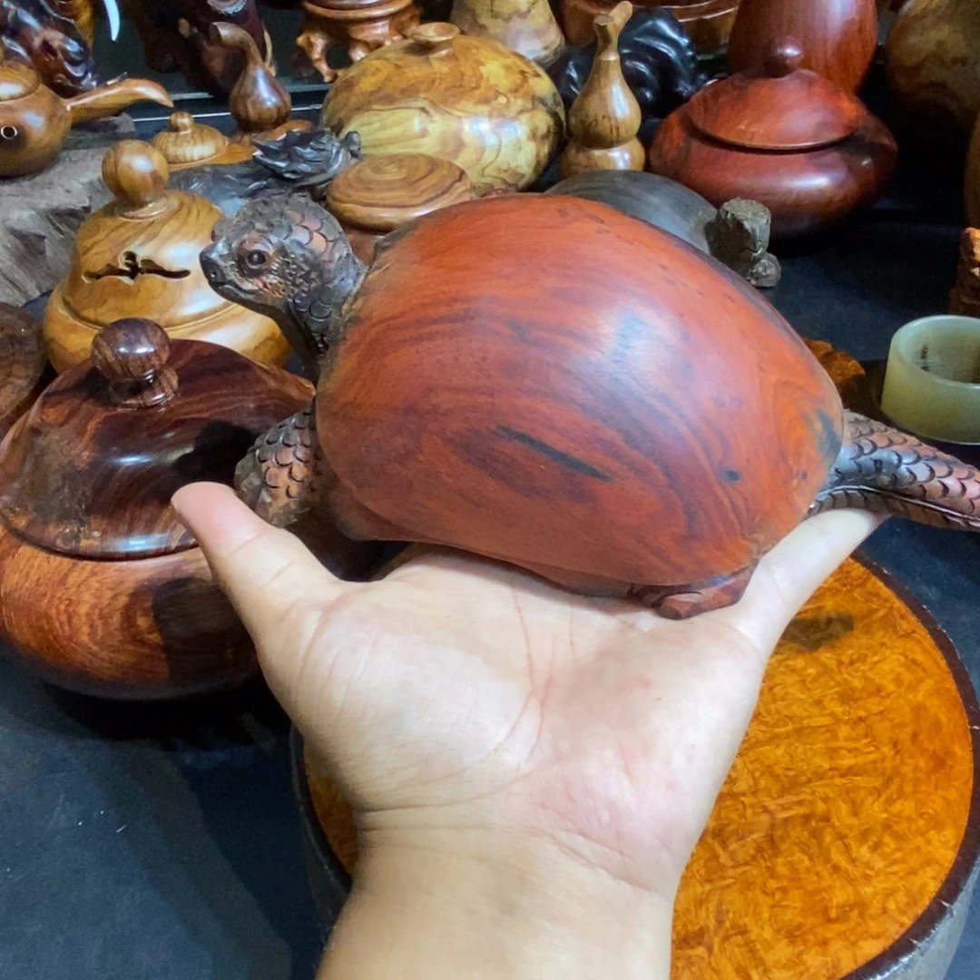 风***？乌龟一个特价包邮