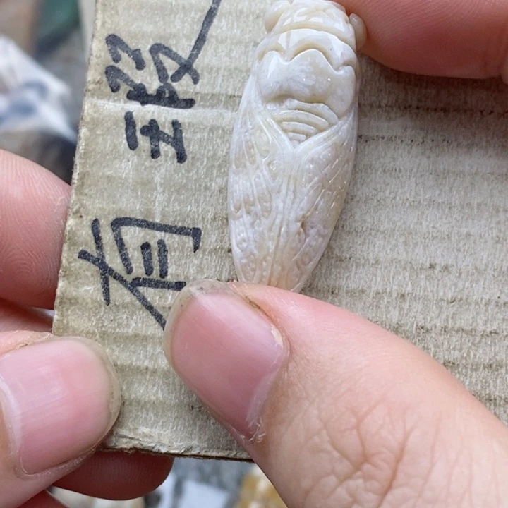 硅化珊瑚（珊瑚玉）未镶嵌颈饰小*苗小