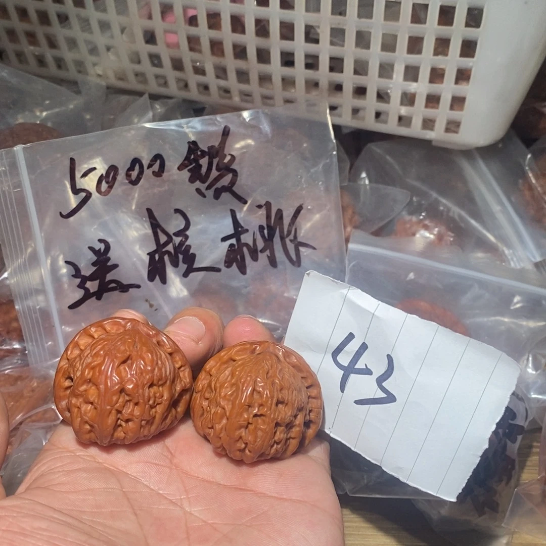白狮子。