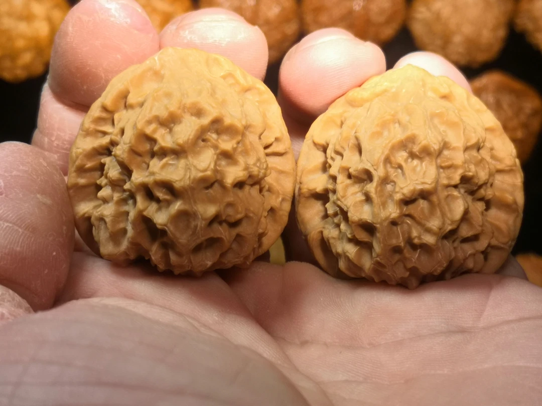 文玩核桃，野生小物件鱼鳞纹，皮质骨质无敌，福利出