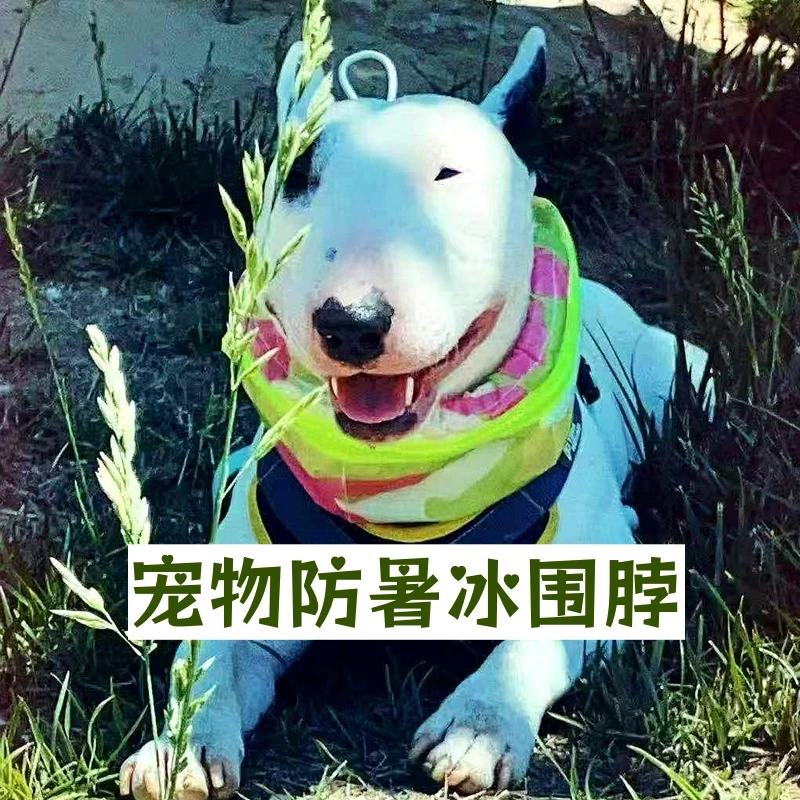 宠物狗夏季防暑冰围脖法斗牛头梗户外降温防水脖圈