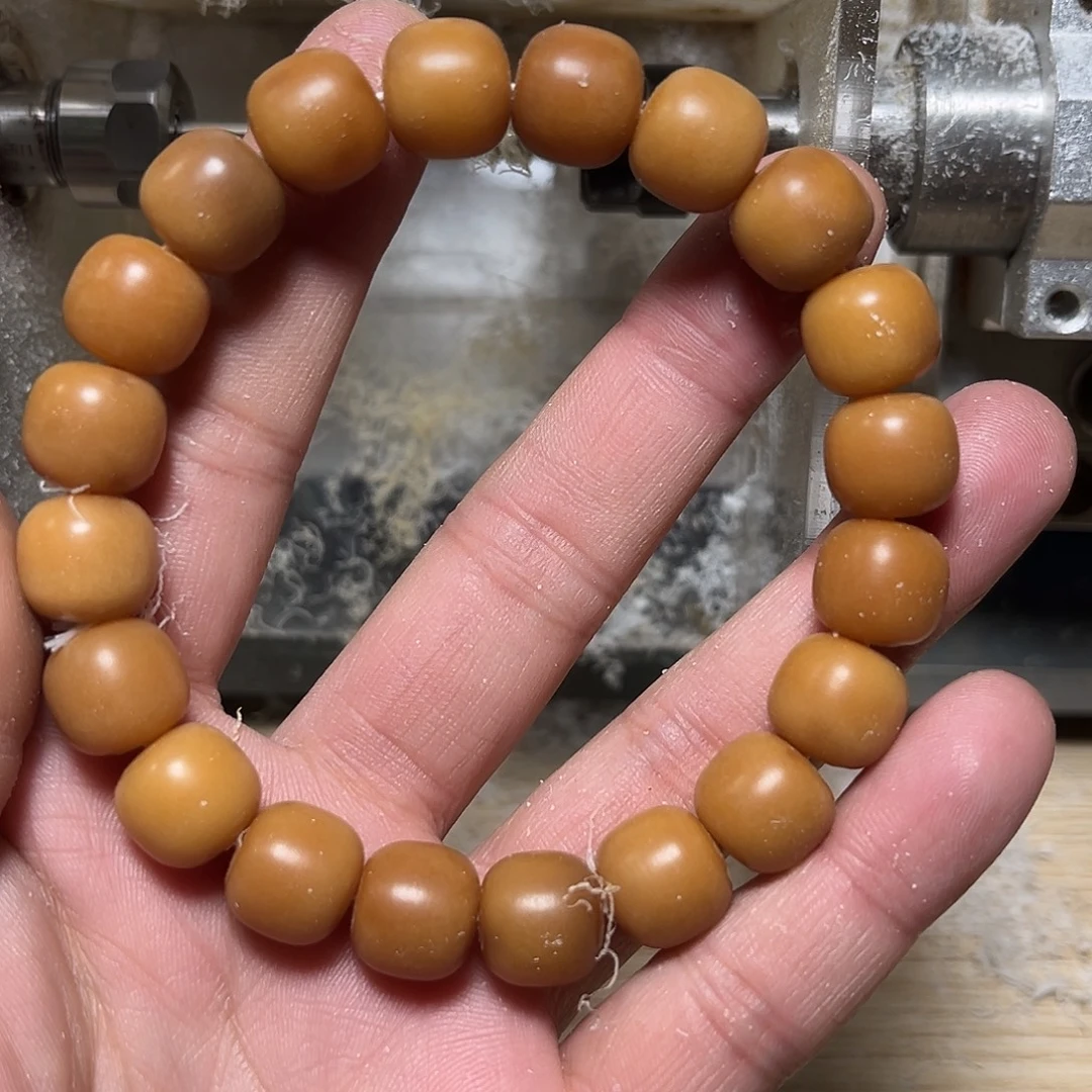 手串菩提根/象牙果