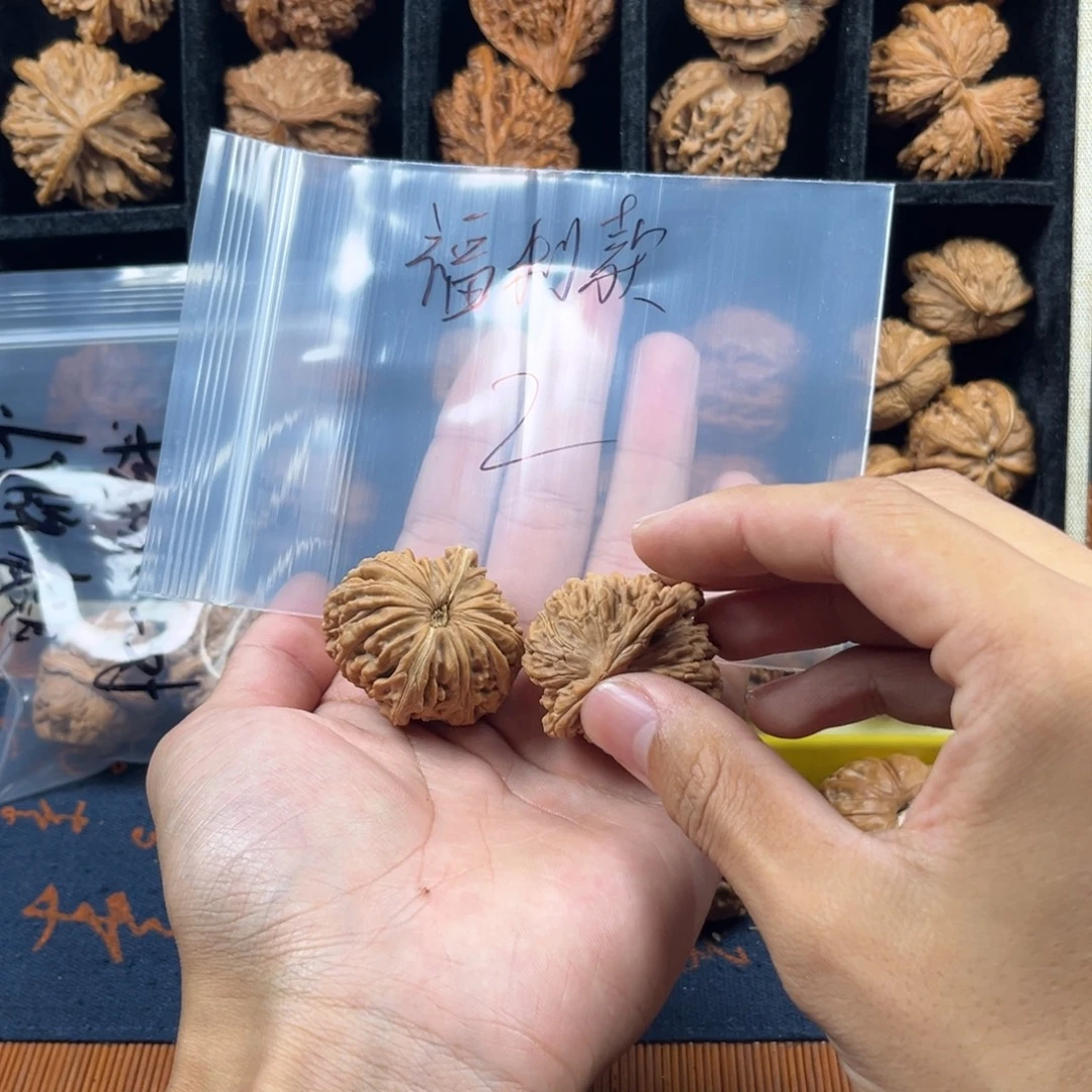 核桃哈哈哈哈哈哈哈哈哈哈