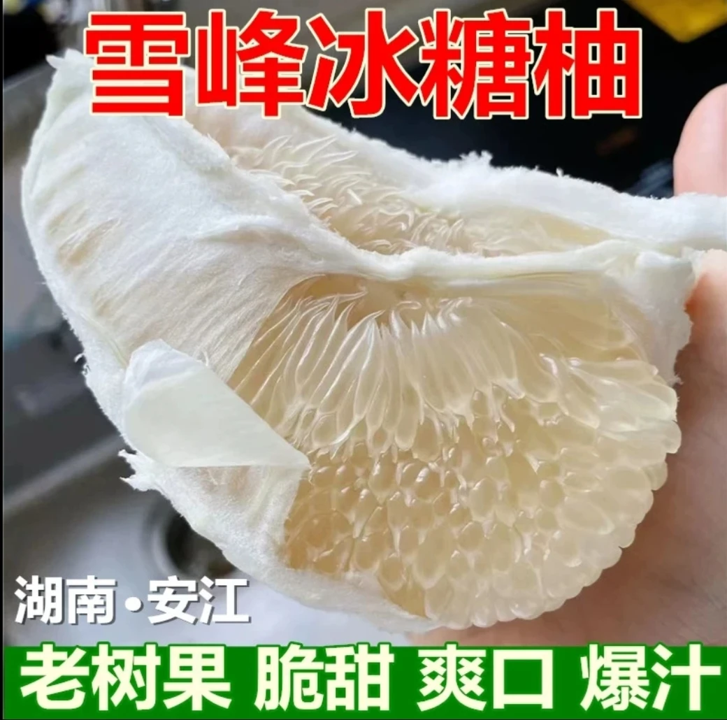 湖南怀化雪峰山老树冰糖柚安江小苦柚新鲜水果脆甜当季高山小柚子