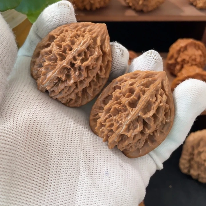 核桃把件秦岭核桃的品种繁多