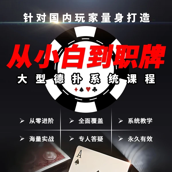 从小白到职牌 德扑系统课程视频