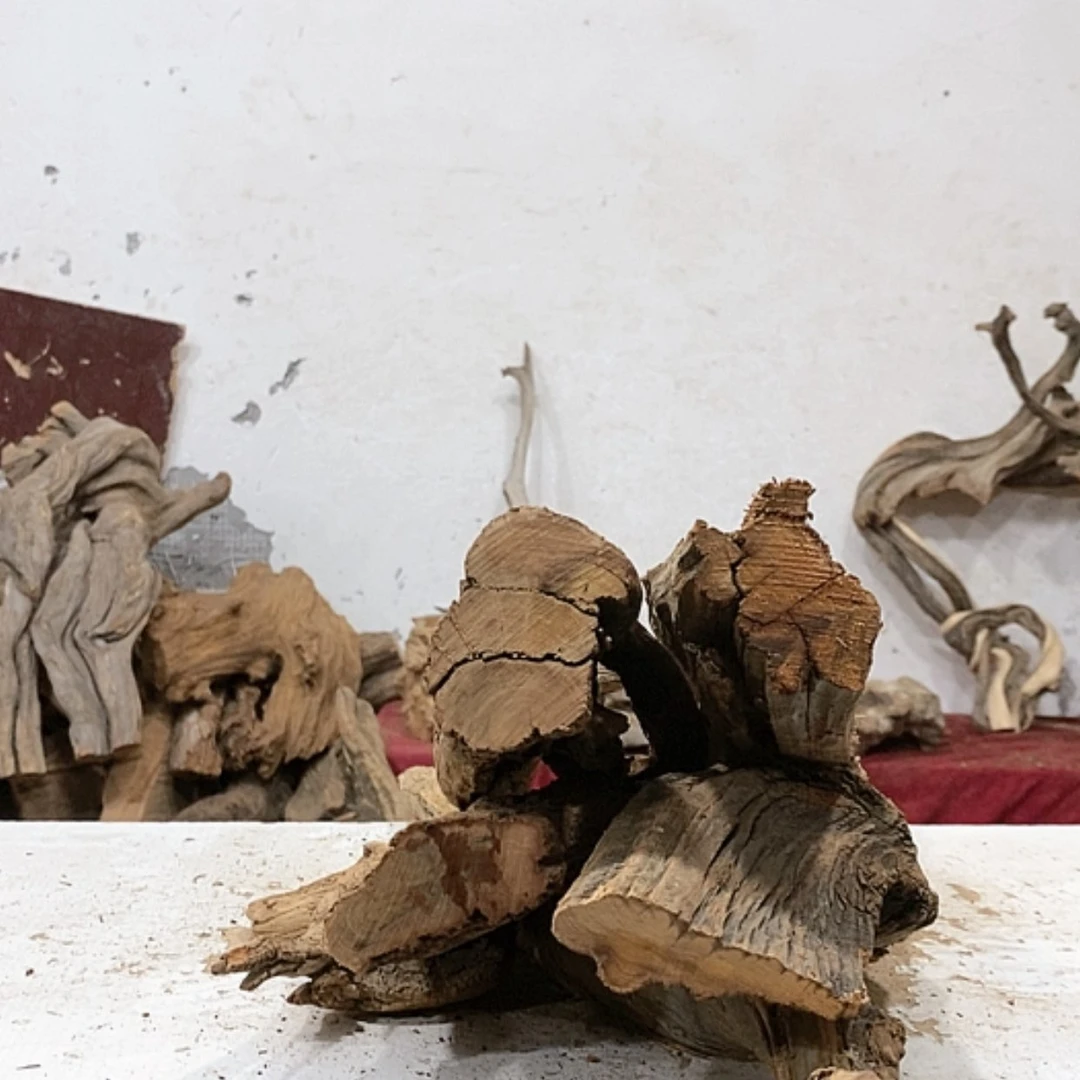 【闪购商品】柏木壹*堂我们都是好孩子