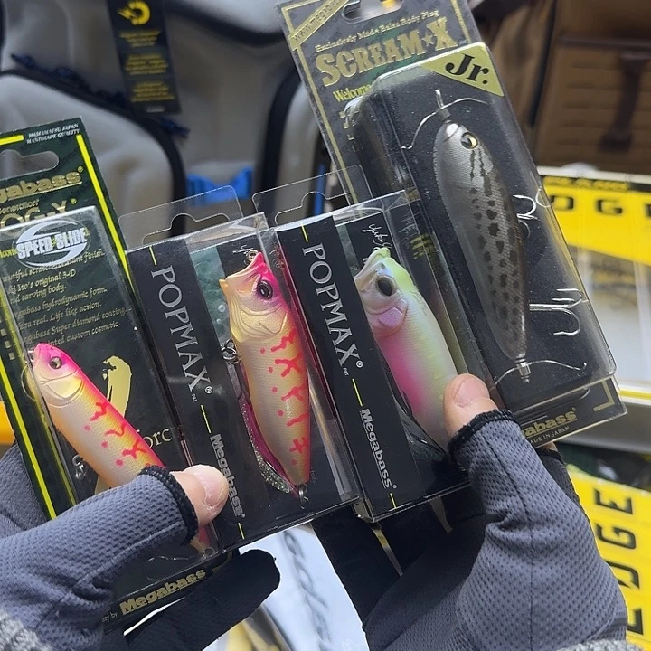 闪购专拍（图片为主）