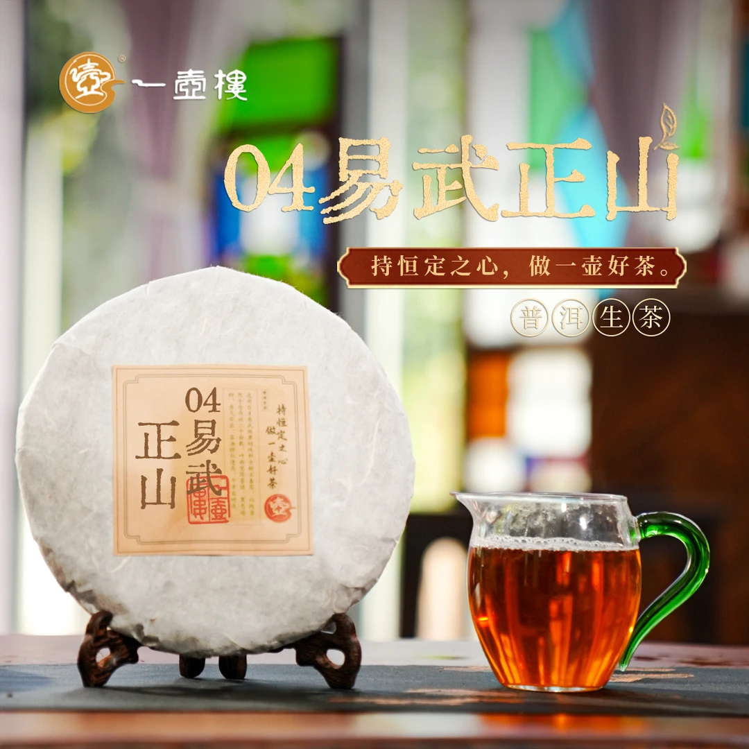 一壶楼 04易武正山 普洱生茶 云南大叶种晒青毛茶生普 357g*1饼