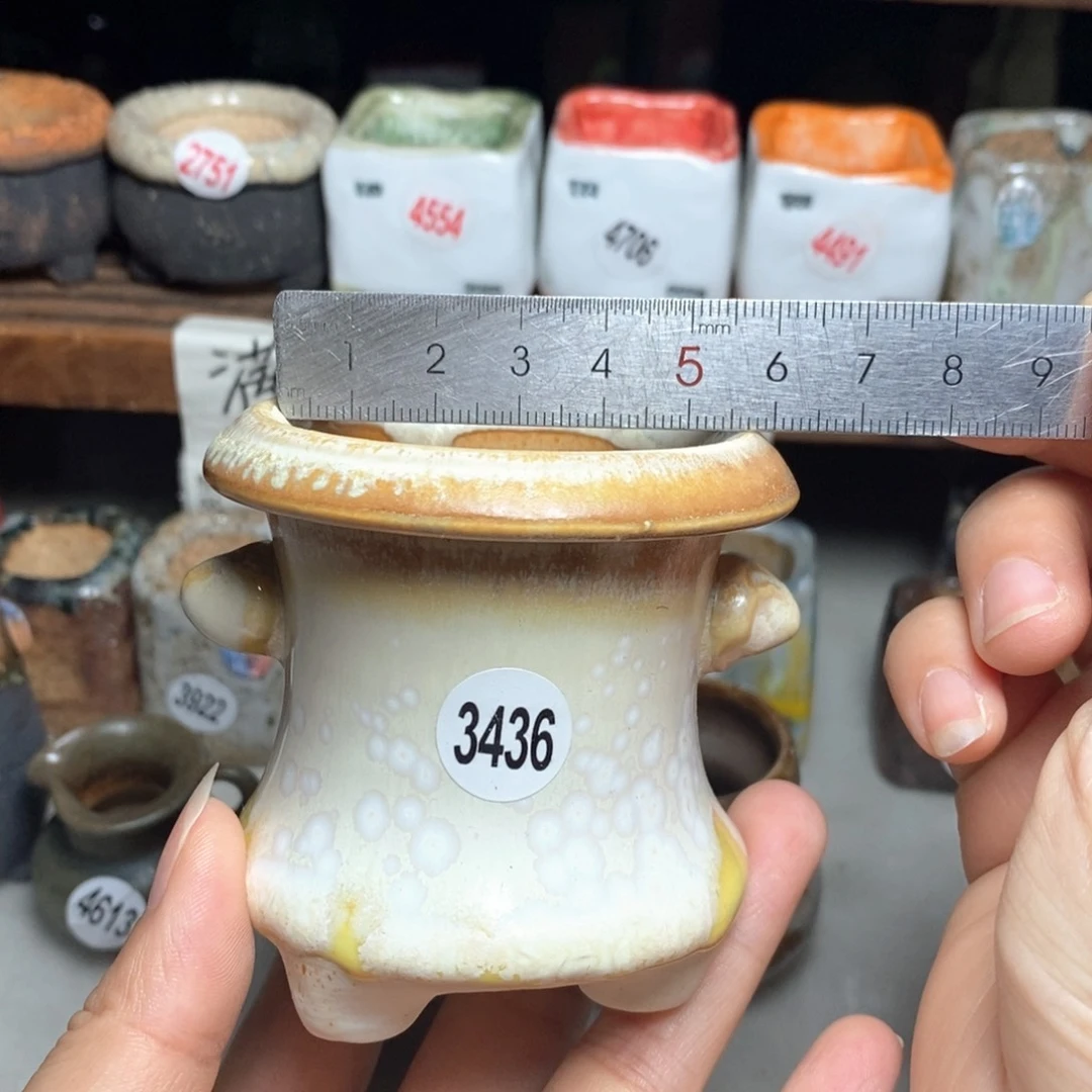 拍5送一个小礼物