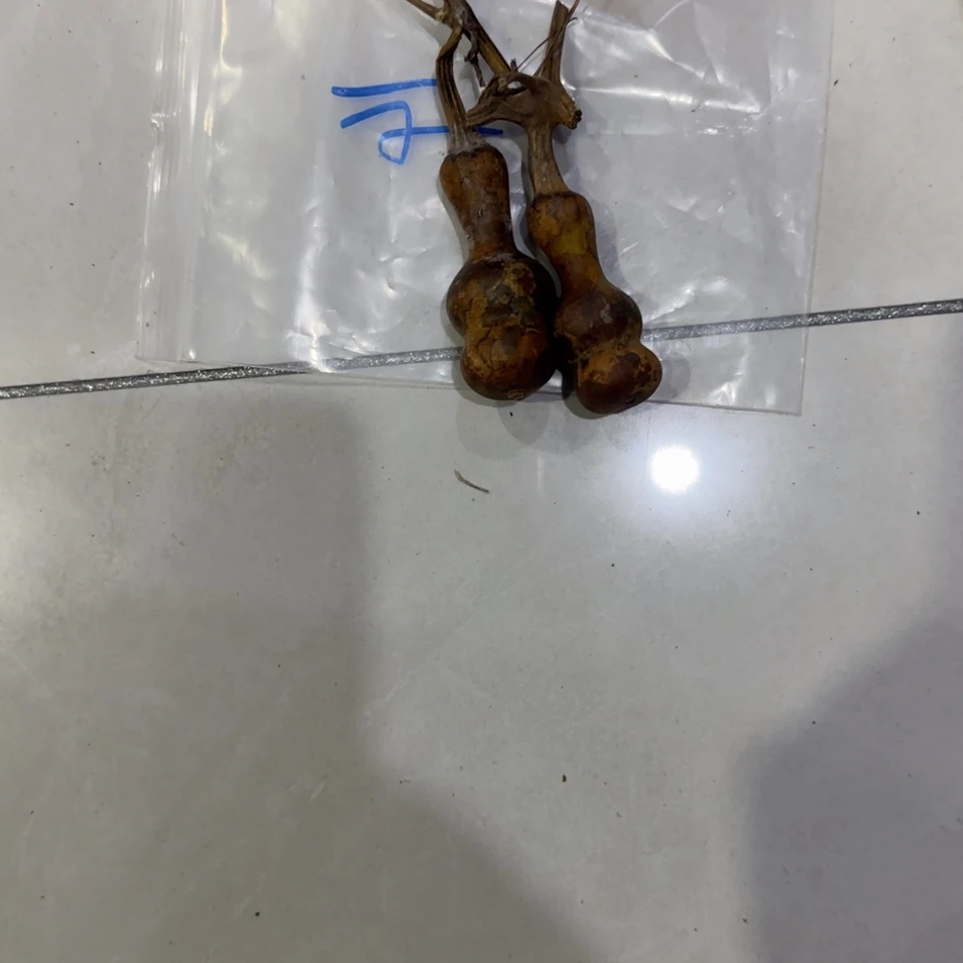 诸***作青及不包成ghhggggggggh