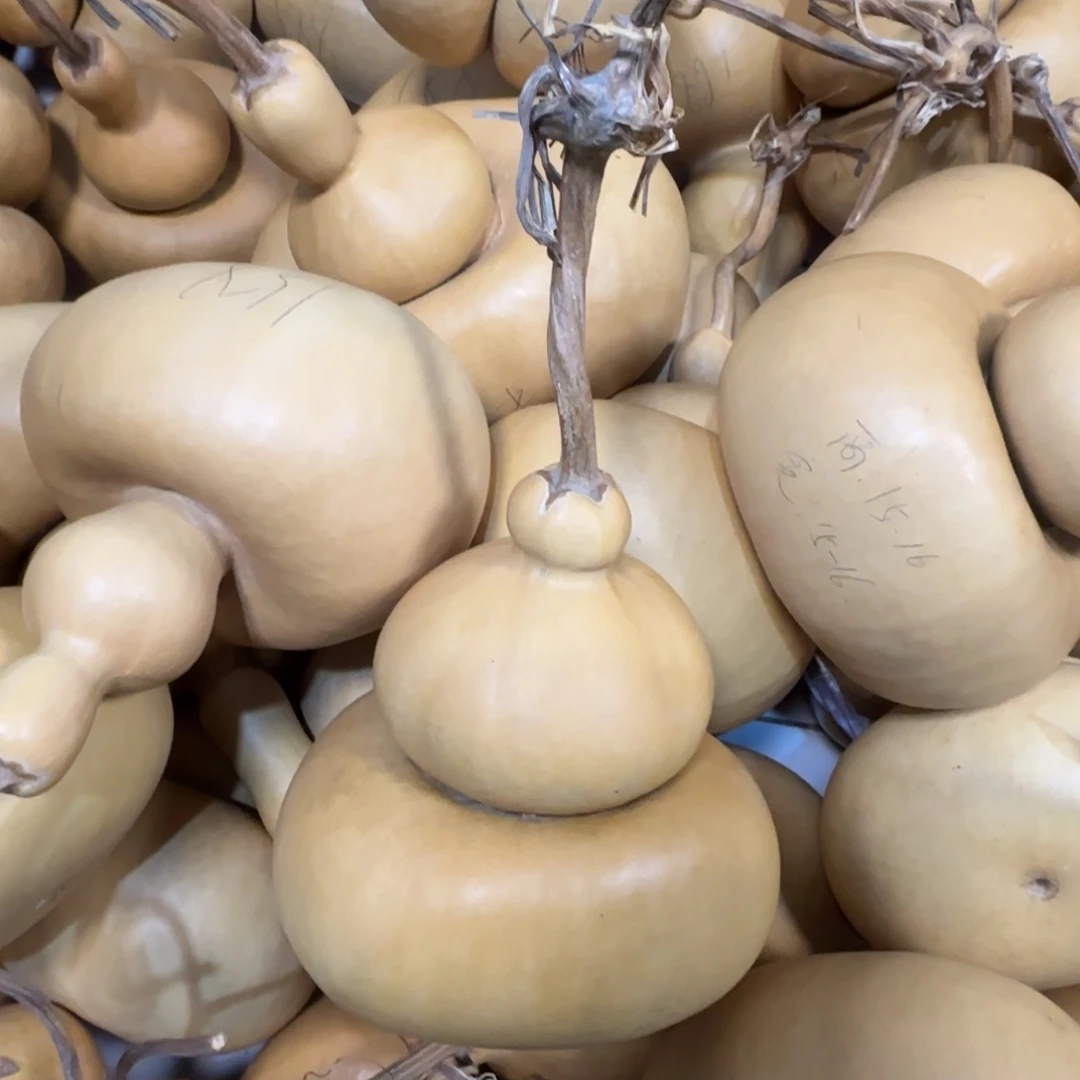 直播间钱袋子一物一价