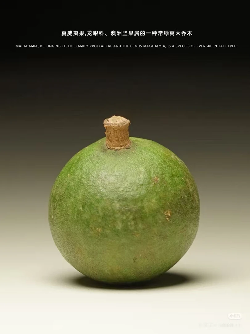 新鲜（带绿皮）夏威夷果