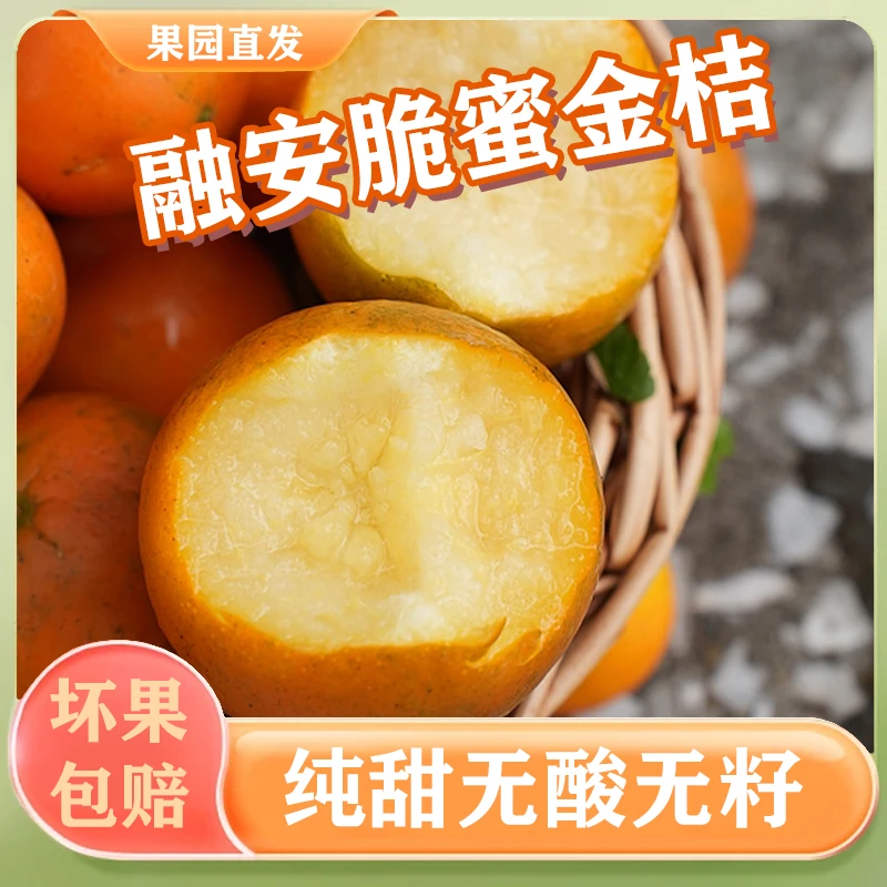 广西融安第三代脆蜜金桔纯甜无酸新鲜现摘皮薄多汁整箱包邮