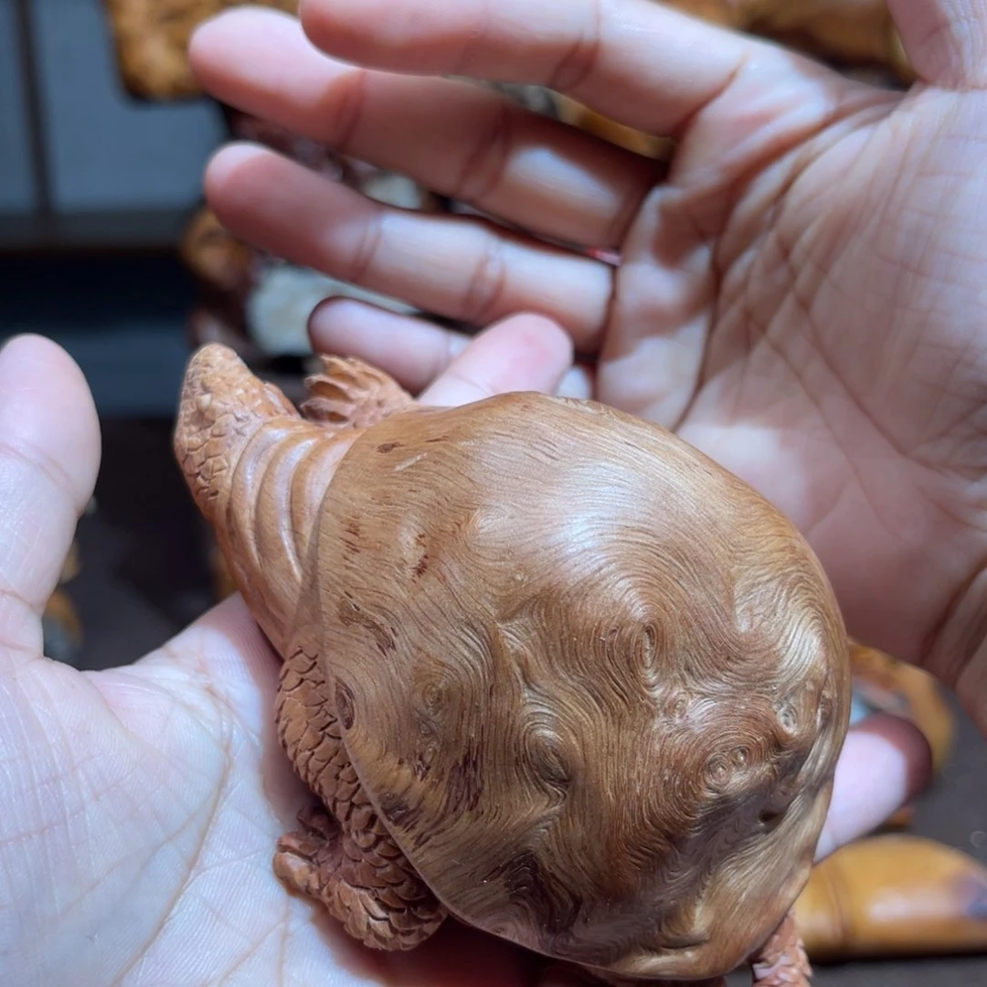 荔枝木荔枝木乌龟