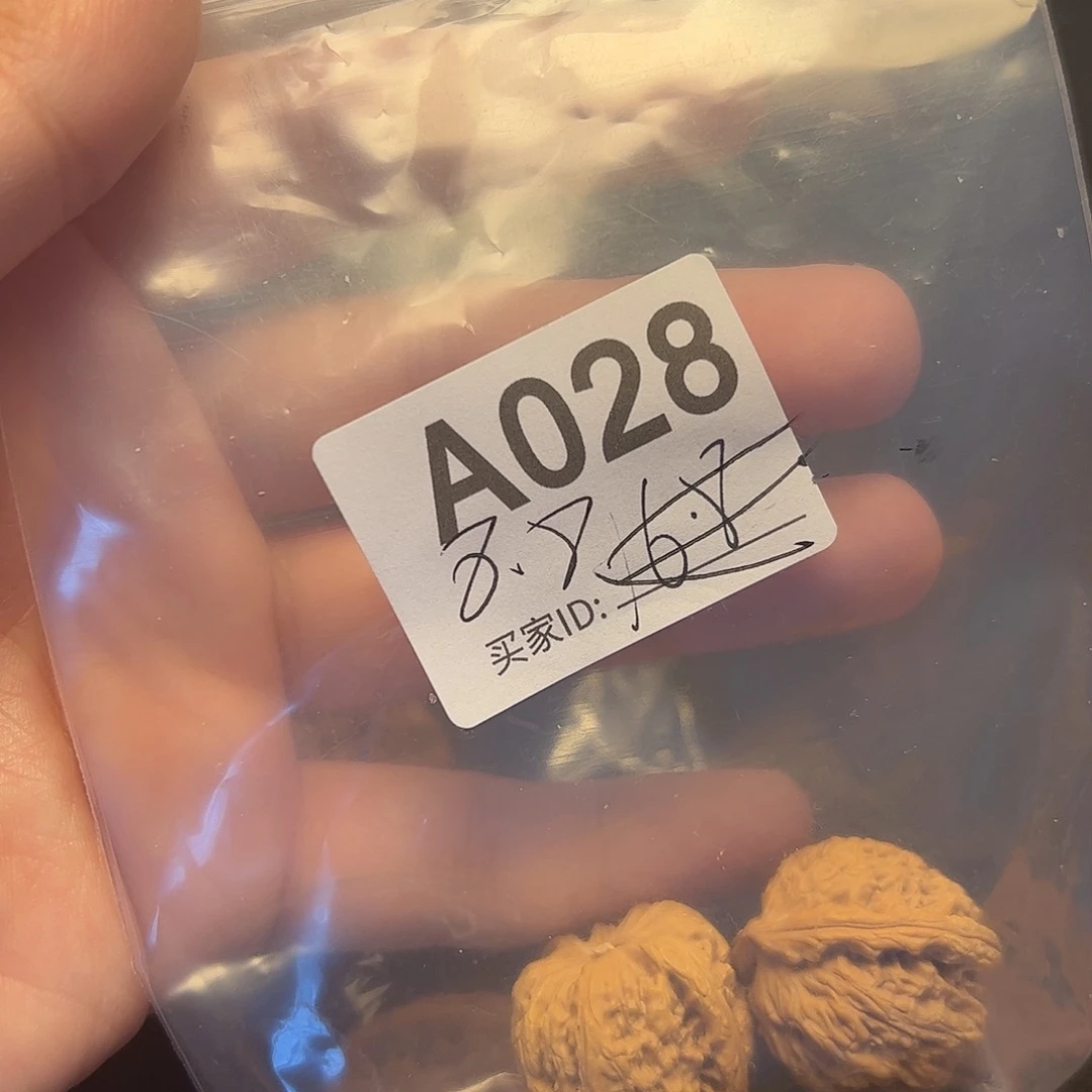 把件文玩核桃白狮子