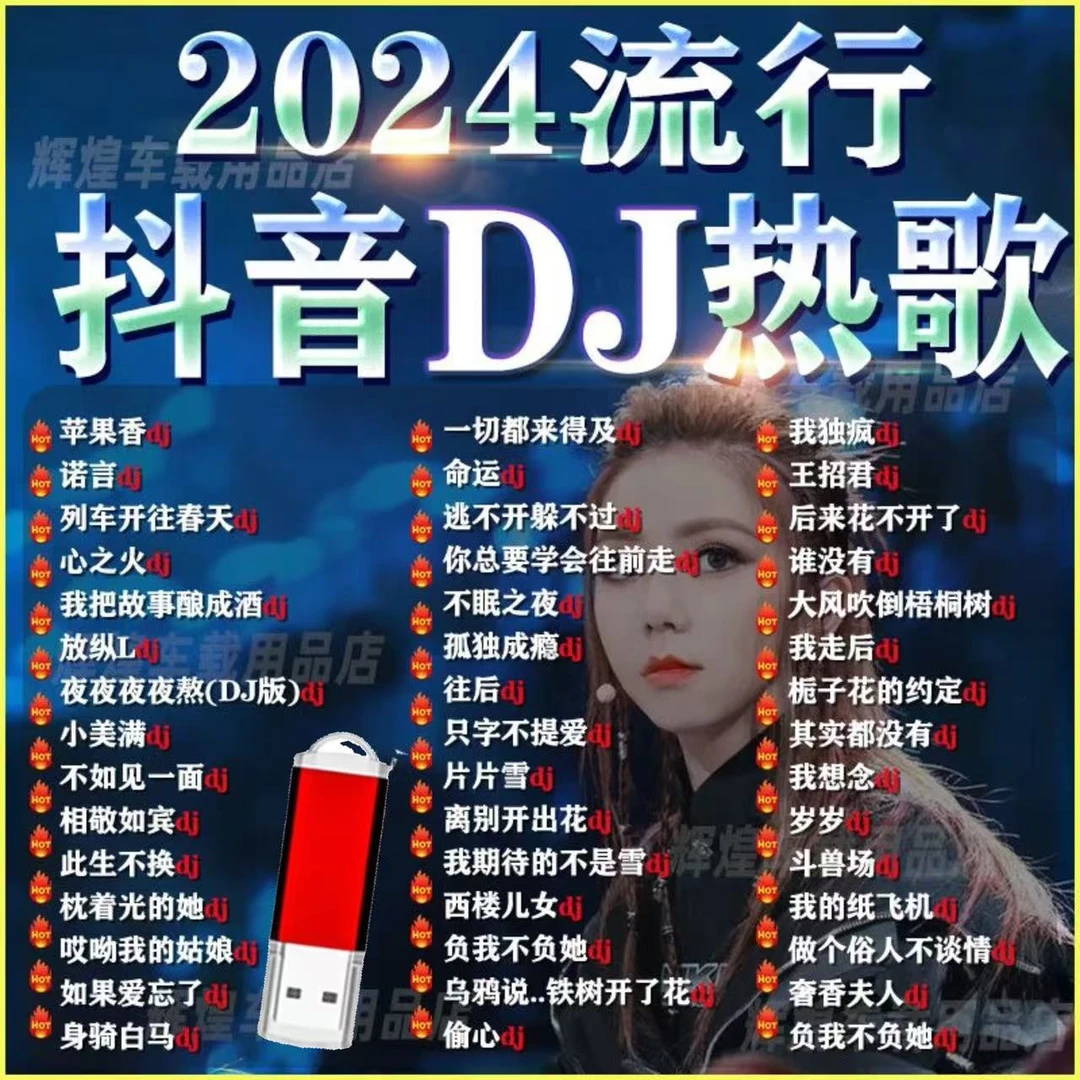2025网络流行车载u盘全中文dj劲爆嗨曲抖音热歌DJ网红新歌无损u盘