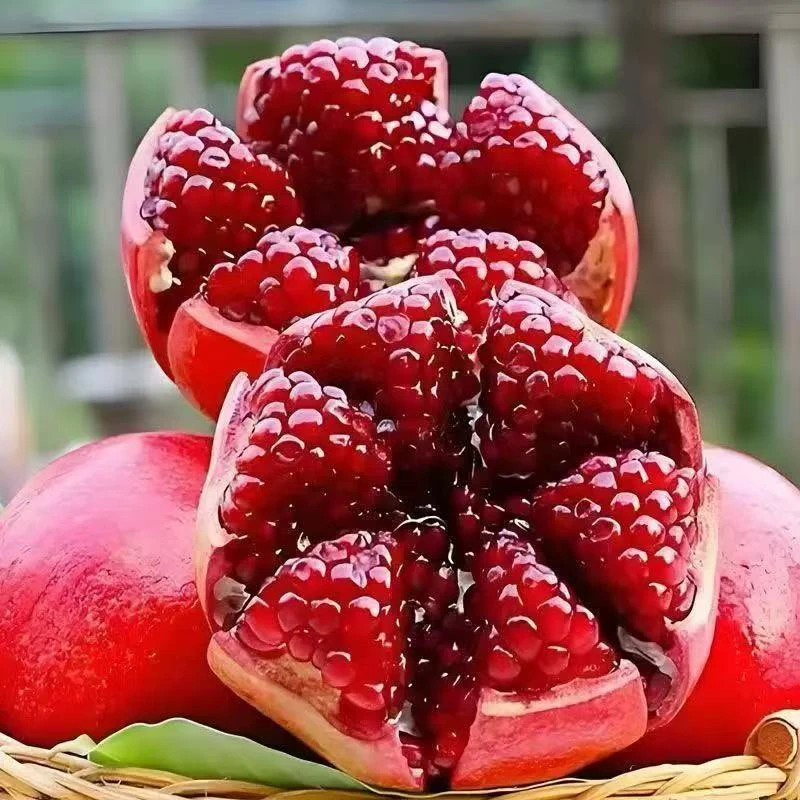 四川突尼斯 优质饱满 软籽石榴 红石榴 新鲜水果