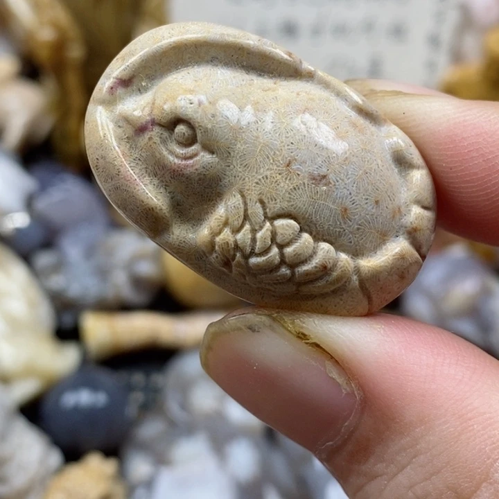 颈饰未镶嵌硅化珊瑚（珊瑚玉）小