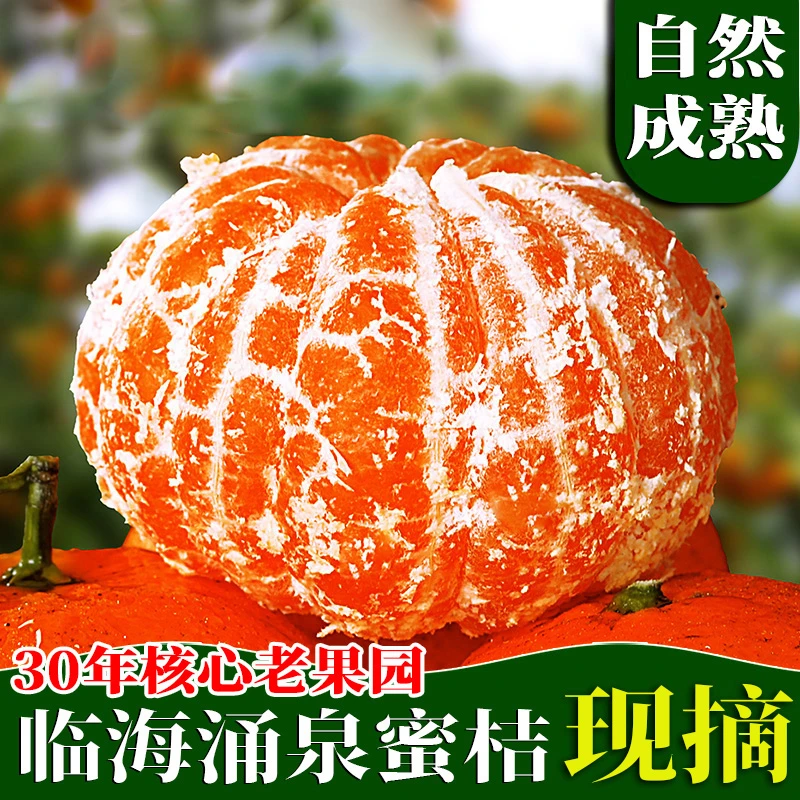 【老树现摘送货上门】正宗临海涌泉蜜桔新鲜水果橘子当季台州无核桔