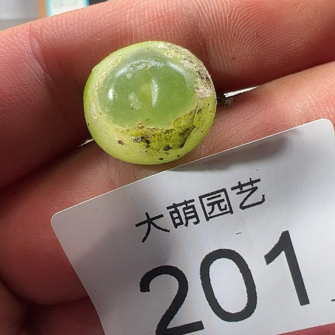 0000201 一物一拍……