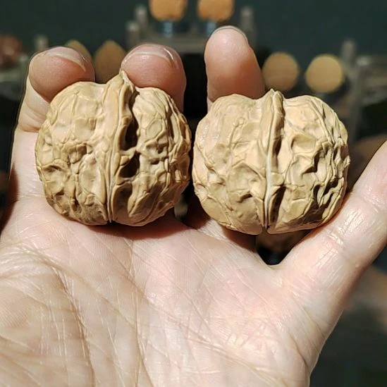 把件文玩核桃福利龟背宽边37尺