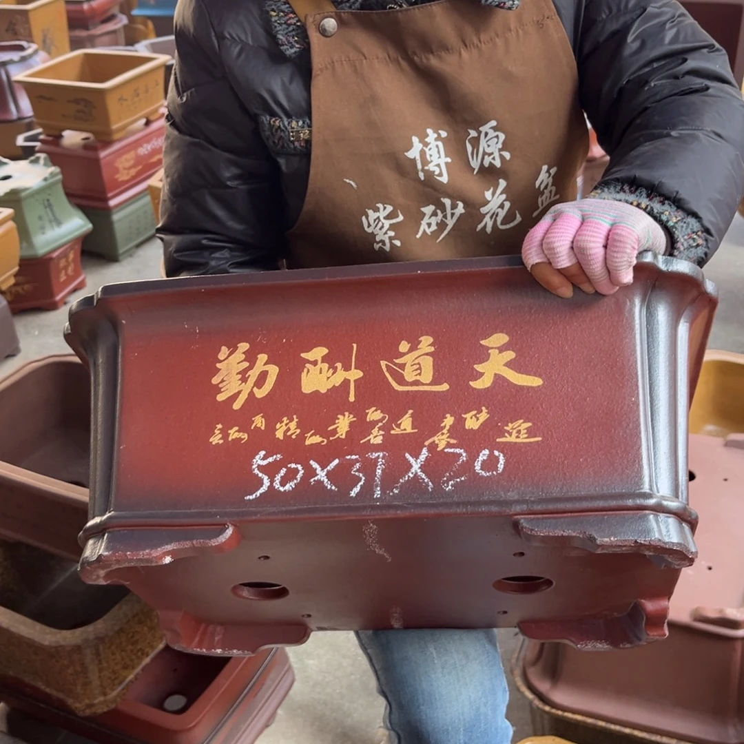 花盆紫砂盆景艺术