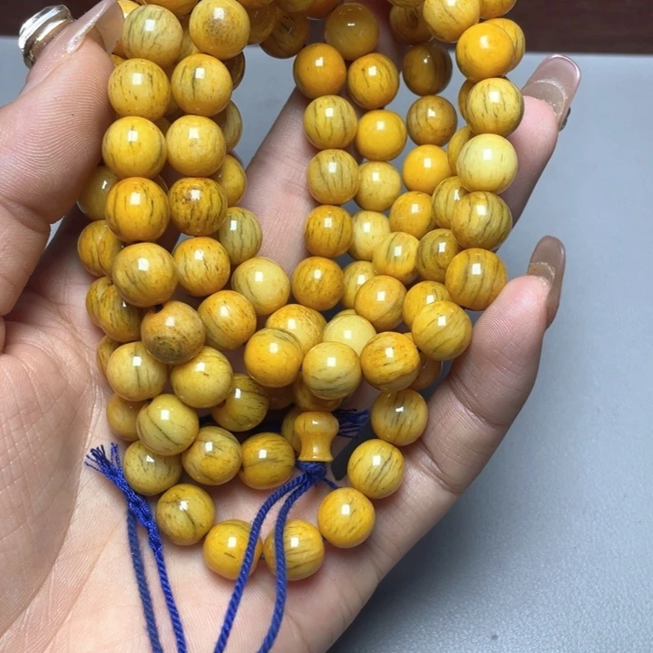大果紫檀（缅甸花梨）