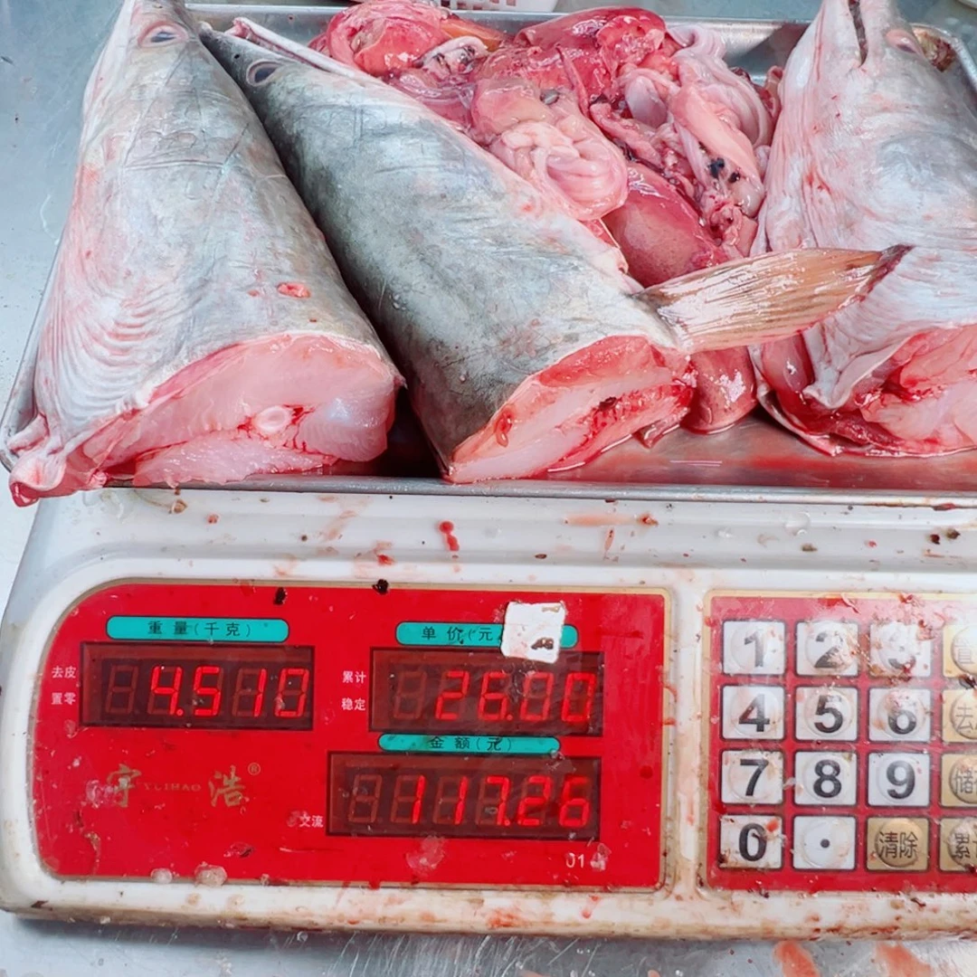 中国大陆三个鳗鱼头➕鱼杂