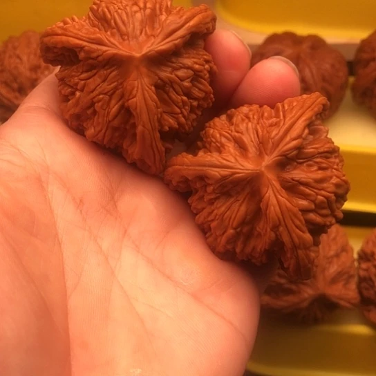洪***飞核桃核桃核桃核桃核桃